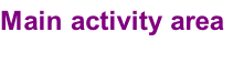 Main activity area
